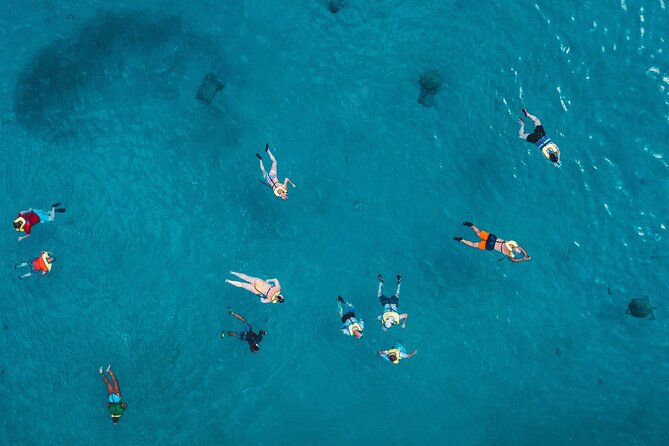 Waikiki: Turtle Canyon Snorkel - Snorkeling With Hawaiian Green Sea Turtles, What the Crew Helps You Do
