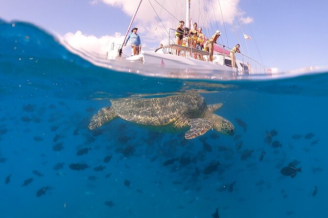 Waikiki: Turtle Canyon Snorkel - Group Size, Comfort, and How the Catamaran Ride Changes the Mood