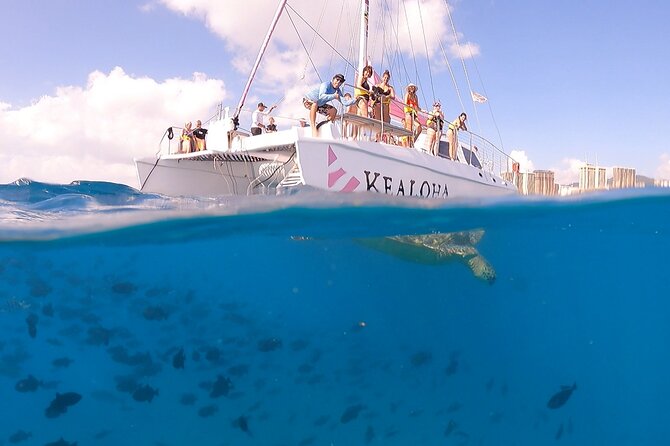 Waikiki: Turtle Canyon Snorkel - Best Time for You to Book, Based on Your Priorities