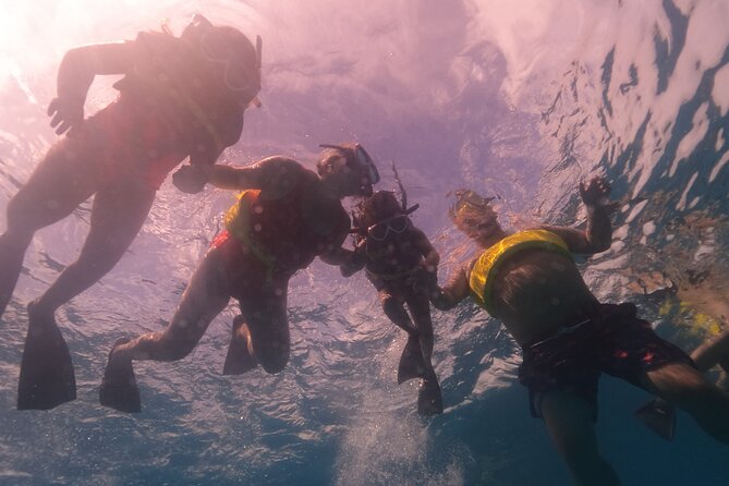 Waikiki: Turtle Canyon Snorkel - Who Should Book This Waikiki Turtle Canyon Snorkel (and Who Should Think Twice)