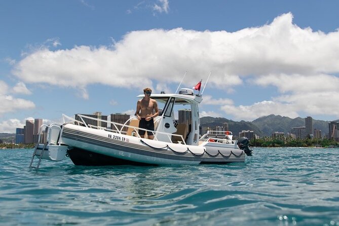 Waikiki Turtle Canyon Snorkel: Turtles Guaranteed - Turtle Canyon Stop: How You Actually Find the Turtles