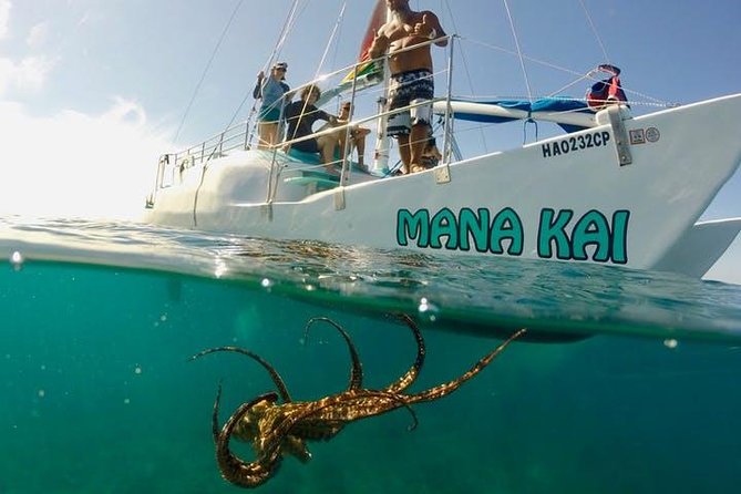 Waikiki Turtle Snorkel and Sail on Hawea Catamaran - Turtle Canyon Snorkel: Shallow Reef, Sea Turtles, and Floatation Support