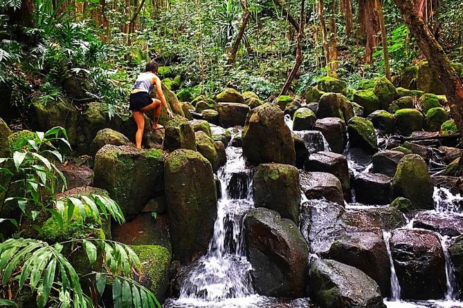 Wailua River & Waterfalls Kayak Tour: Expert-Guided Adventure - That lunch stop: turkey sandwich, fruit, water, and a real break