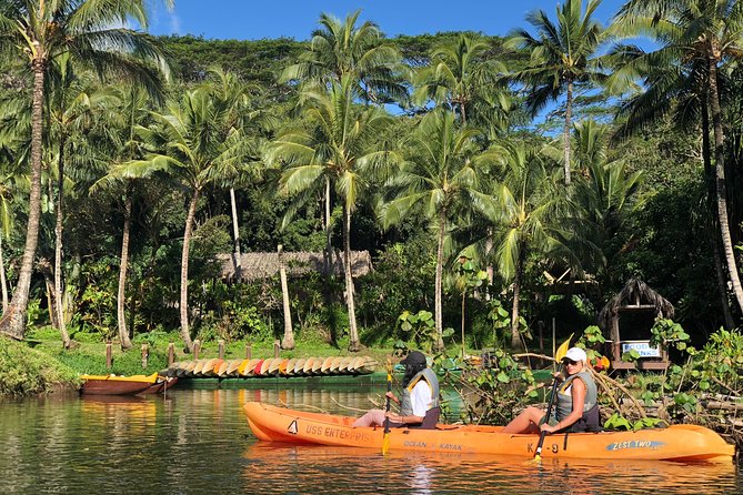 Wailua River & Waterfalls Kayak Tour: Expert-Guided Adventure - Guides, stories, and local plants along the route