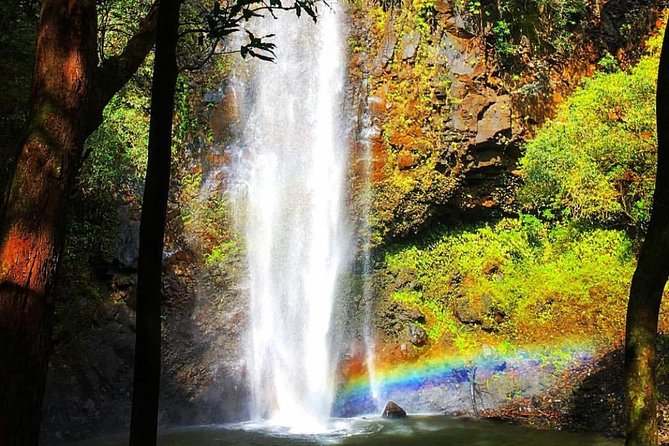 Wailua River & Waterfalls Kayak Tour: Expert-Guided Adventure - Price and value for a 5 to 6 hour active tour on Kauai