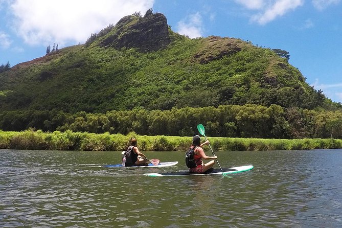 Wailua River & Waterfalls Kayak Tour: Expert-Guided Adventure - Who should book this kayak and waterfall hike, and who should skip