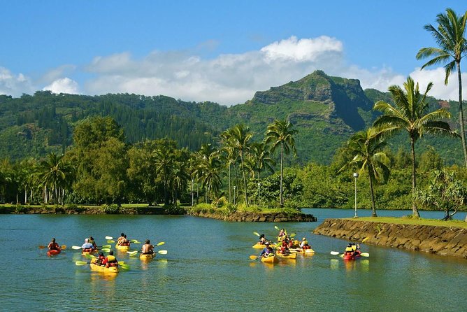 Wailua River & Waterfalls Kayak Tour: Expert-Guided Adventure - Timing tips: how to enjoy the falls and avoid the stress