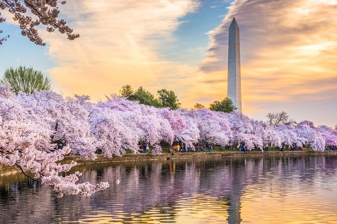 Washington DC Day Tour from New York City - Key takeaways before you go