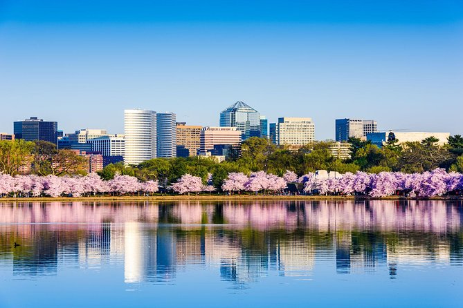 Washington DC & Philadelphia 1-Day Guided Tour from NYC - Guides, Comfort, and Tour Value at About $128