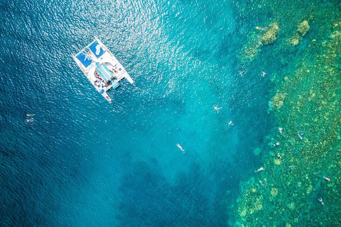 West Maui Half Day Snorkel from Ka’anapali Beach - Key highlights you can plan around