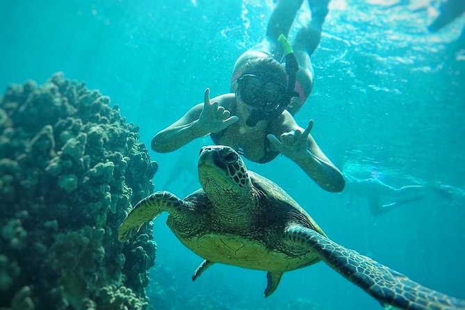 West Maui Half Day Snorkel from Ka’anapali Beach - Guides and crew: what good hospitality looks like out on the water