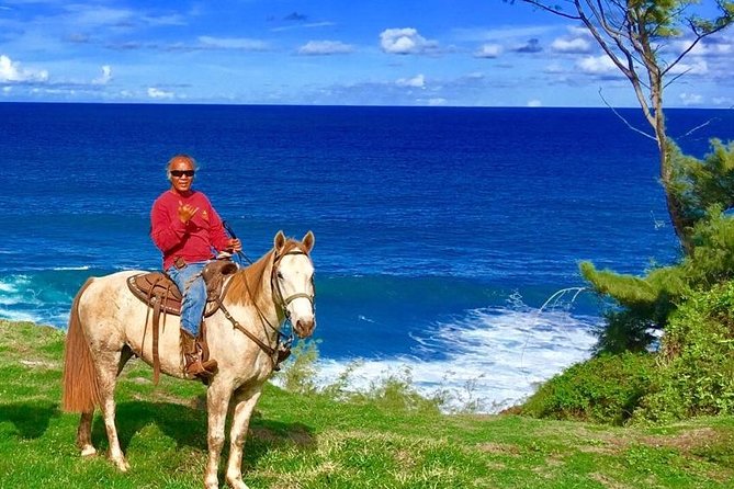 West Maui Mountain Waterfall and Ocean Tour via Horseback - Key Highlights Worth Planning Around