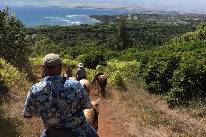 West Maui Mountain Waterfall and Ocean Tour via Horseback - A Horse-First Maui Day, From Wailuku to Ocean Views