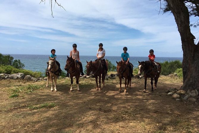 West Maui Mountain Waterfall and Ocean Tour via Horseback - The Petting Zoo Stop: A Calm Intermission With Real Animal Time