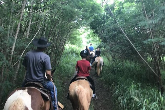 West Maui Mountain Waterfall and Ocean Tour via Horseback - Price and Value at $187.50: When This Costs Just Right