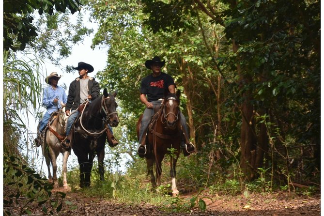 West Maui Mountain Waterfall and Ocean Tour via Horseback - How the 2-Hour Ride Plays Out On the Trail