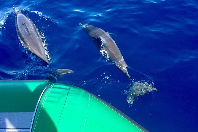 West Maui Snorkeling Experience by Boat from Ka'anapali - Key Highlights You Will Feel Right Away