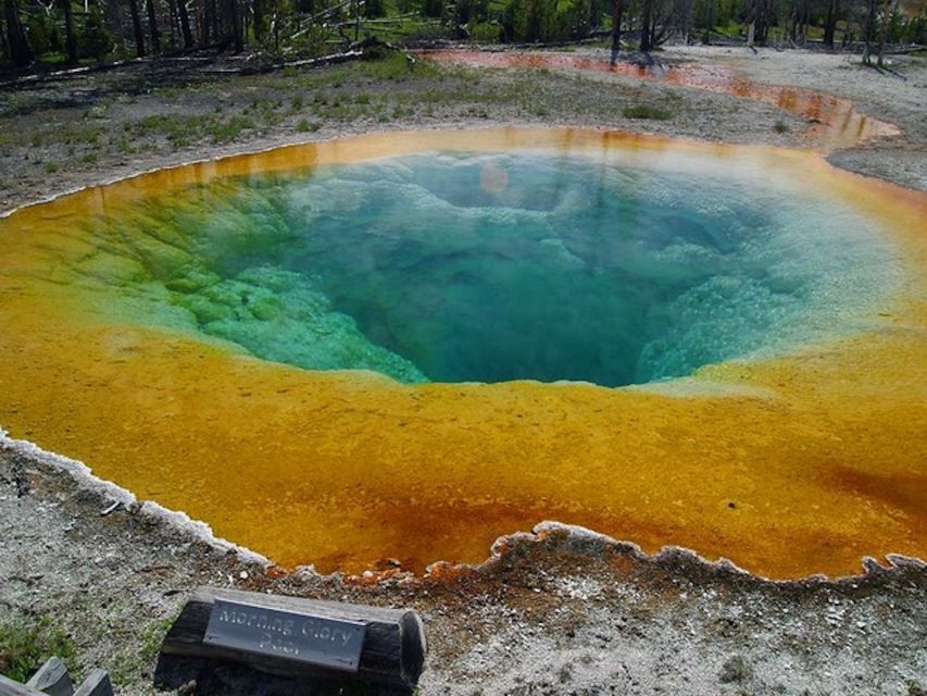 West Yellowstone: Yellowstone Day Tour Including Entry Fee - How the Lower Loop Fits Into One Yellowstone Day