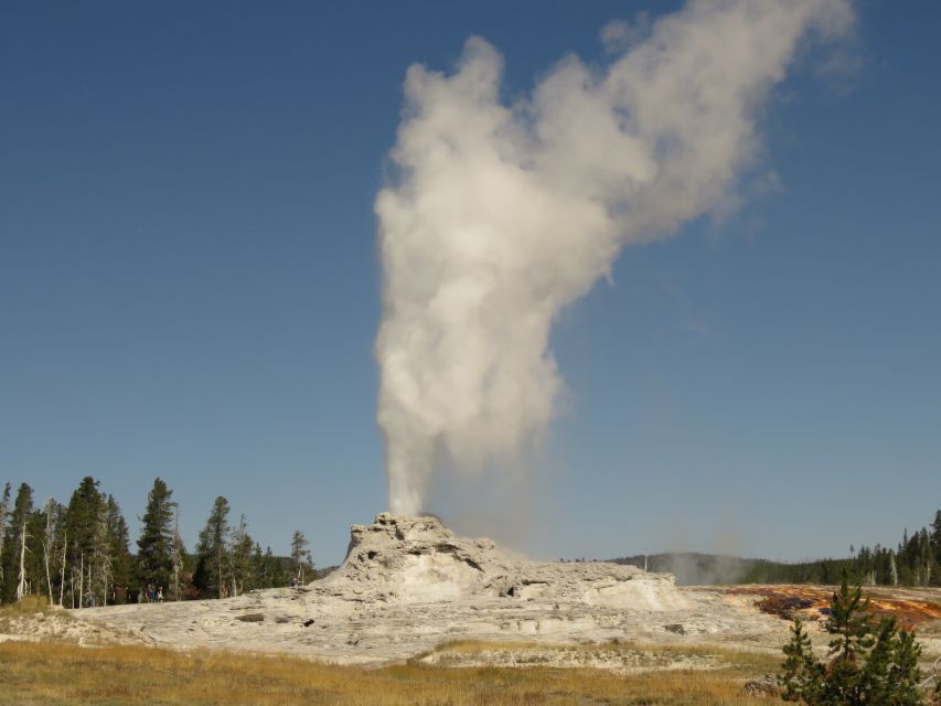 West Yellowstone: Yellowstone Day Tour Including Entry Fee - Artist Point and Lower Falls: When Yellowstone Shows Off Its Power