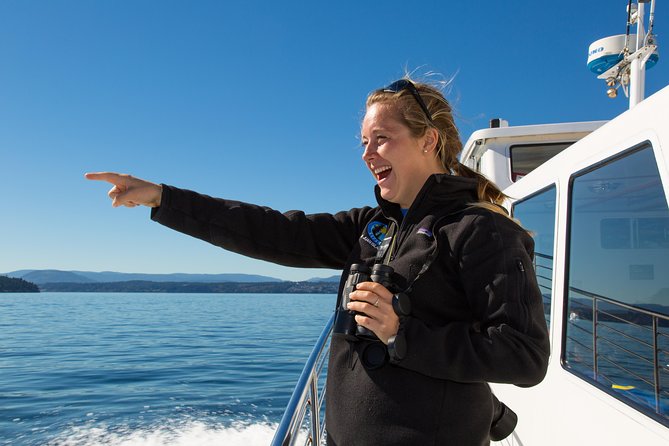Whale Watching from Friday Harbor - San Juan Island, the Salish Sea, and why orcas show up