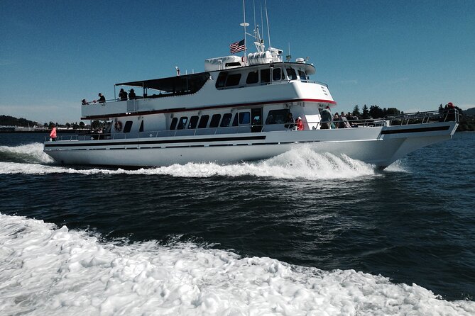 Whale Watching from Friday Harbor - Price and value: what $135 really buys you