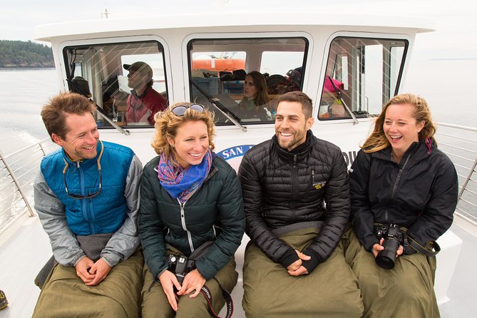 Whale Watching from Friday Harbor - Getting there from Seattle: ferry timing is everything