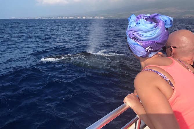 WHALES GUARANTEED Maui Whale Watching Makai Adventures - Quick highlights before you go
