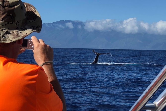 WHALES GUARANTEED Maui Whale Watching Makai Adventures - How the crew finds whales, and what you should look for