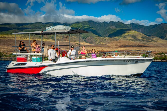 WHALES GUARANTEED Maui Whale Watching Makai Adventures - Photo tips that actually help on a whale watch