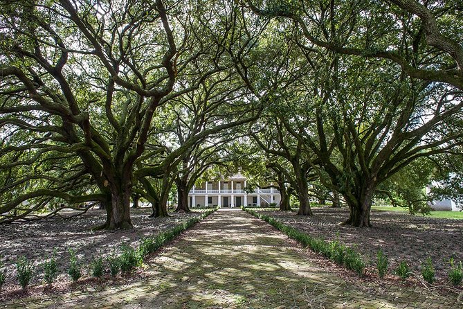 Whitney Plantation Tour with Transportation from New Orleans - Practical Tips: Food, Shoes, and Staying on Track