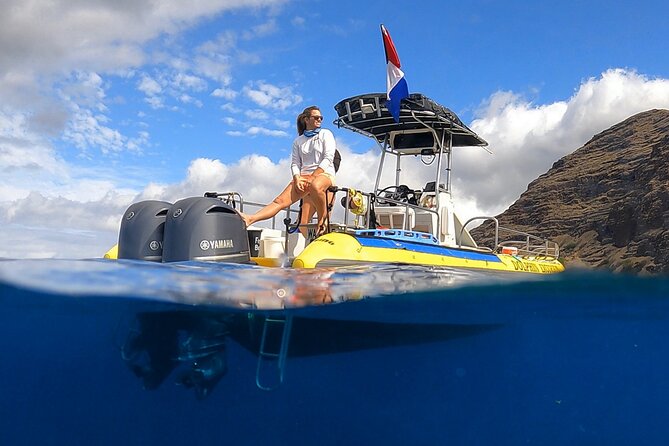 Wild Dolphin Watching and Snorkel Safari Off West Coast of Oahu - Key Things That Make This Safari Worth Your Time