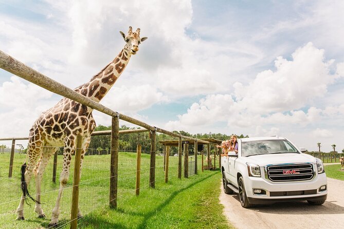 Wild Florida Drive-Thru Safari and Gator Park Admission - Quick hits before you go