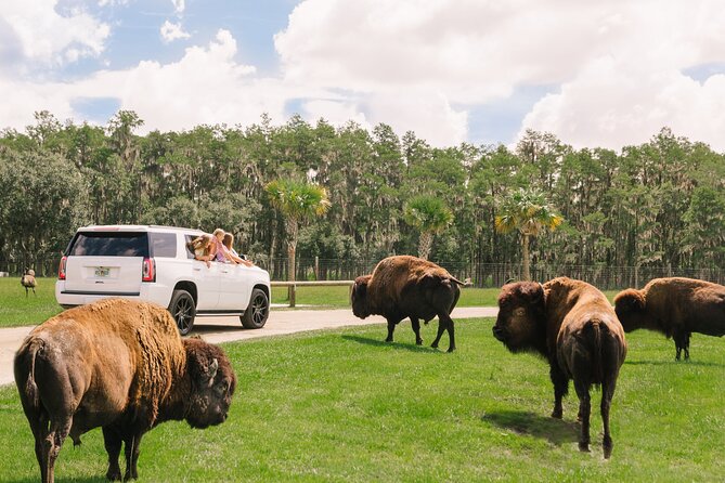 Wild Florida Drive-Thru Safari and Gator Park Admission - Where the Gator Park fits in, after the safari drive
