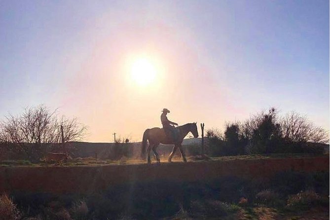 Wild West Sunset Horseback Ride with Dinner from Las Vegas - The horseback trail ride: Joshua trees, mountains, and the calm single-file pace