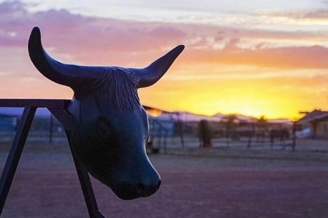 Wild West Sunset Horseback Ride with Dinner from Las Vegas - Horses, animal time, and the ranch feel you cannot fake