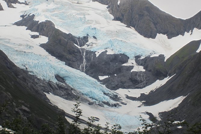Wildlife and Glaciers with a walk in the Rainforest - Alaska Wildlife Conservation Center: The Stop That Gives You Real Value