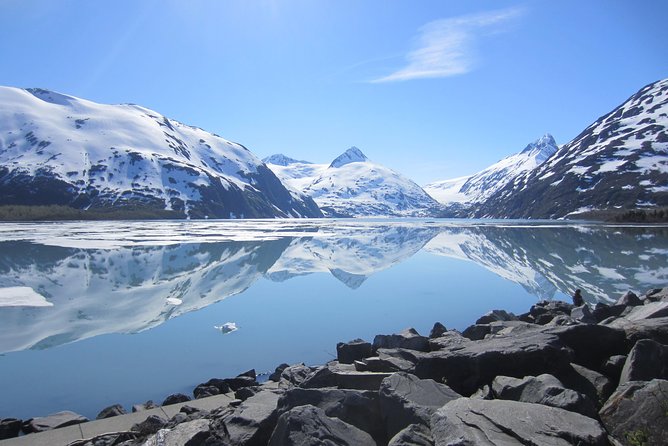 Wildlife and Glaciers with a walk in the Rainforest - Portage Glacier Road and the Rainforest Walk: Where Views Meet Footsteps