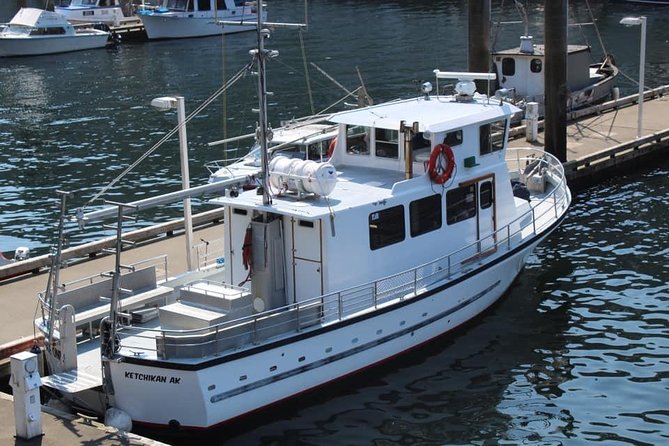 Wildlife Viewing, Sightseeing and Whale Watching Quest - Should you book this Ketchikan whale and wildlife tour?