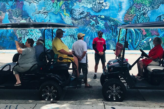 Wynwood Graffiti Golf Cart Small-Group Tour - Beyond the Posters: Wynwood Walls and the Museum of Graffiti