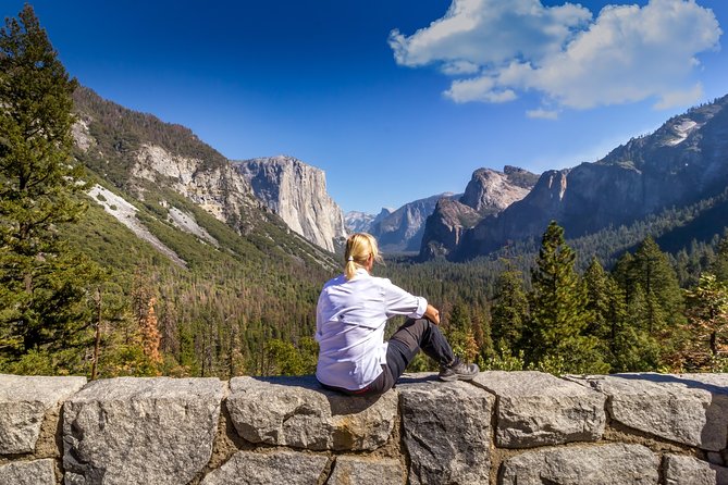 Yosemite Highlights & Giant Sequoias Day Tour from San Francisco - Half Dome, Merced River Reflections, and the El Capitan Meadow Stop