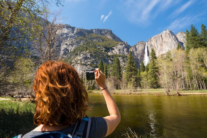 Yosemite Highlights & Giant Sequoias Day Tour from San Francisco - Tuolumne Grove of Giant Sequoias: Timing, Snow Rules, and Scale