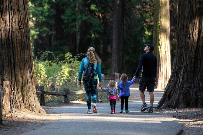 Yosemite Highlights & Giant Sequoias Day Tour from San Francisco - Hotel Pickup, Onboard WiFi, and a Group That Stays Manageable