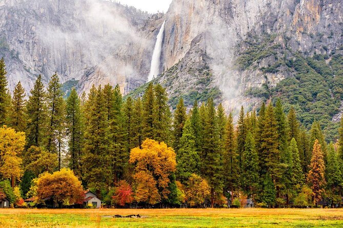 Yosemite National Park: Full Day Tour from San Francisco - Yosemite From San Francisco, a Long Bus Day That Still Feels Worth It