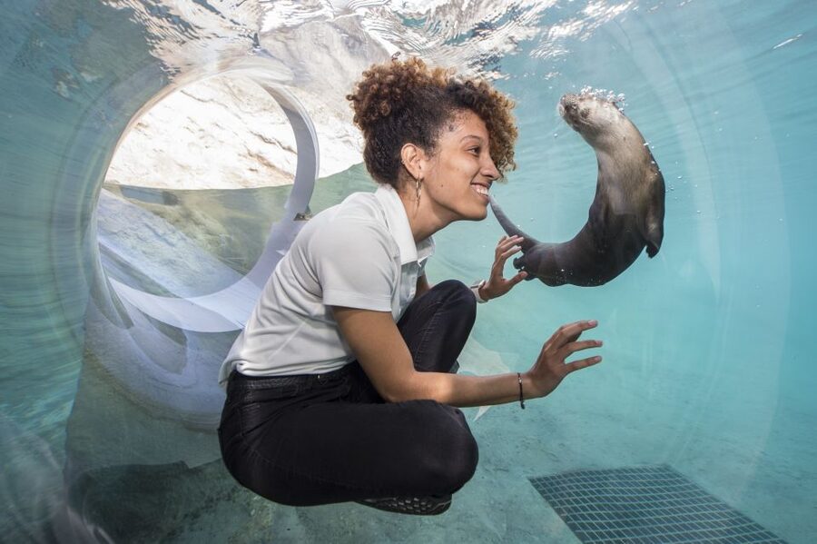 Zoo Miami: General Admission Ticket - Key Highlights Worth Planning Around