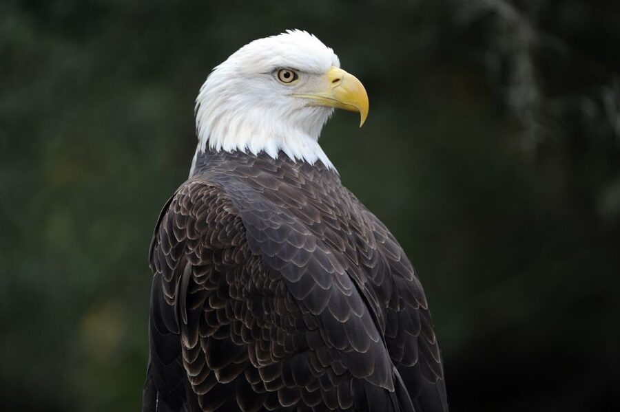 Zoo Miami: General Admission Ticket - A One-Day World Tour on 340 Acres