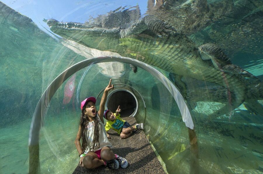 Zoo Miami: General Admission Ticket - Walking Strategy for 340 Acres: Bikes, Cars, and Cooling Stops