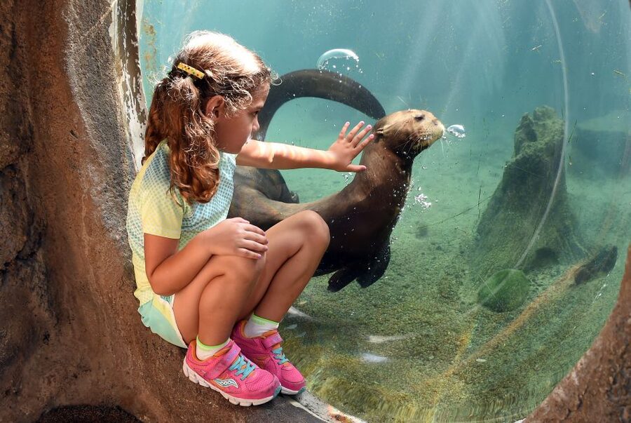 Zoo Miami: General Admission Ticket - Samburu Feeding Station: Make This Your First Stop
