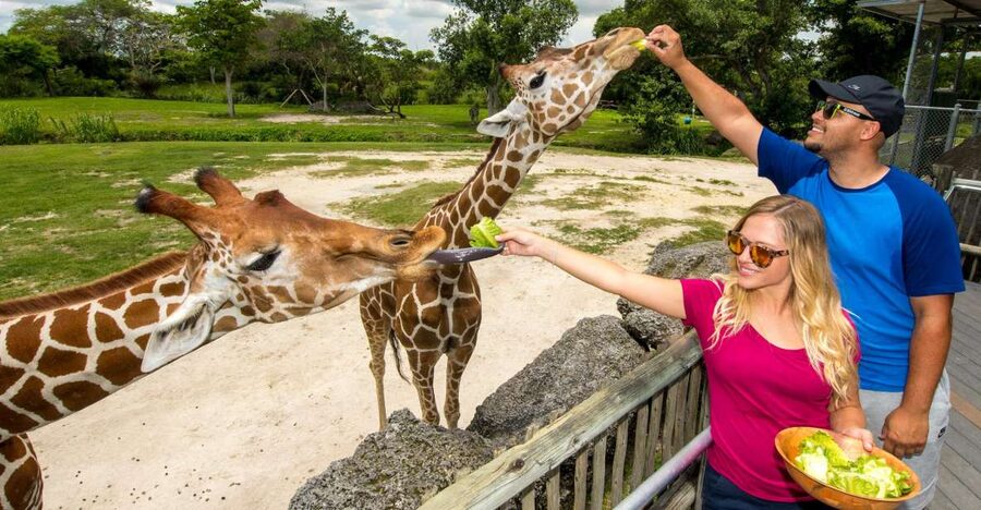 Zoo Miami: General Admission Ticket - Tickets for About $27: What General Admission Really Covers